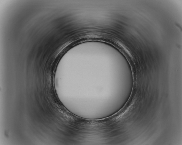 X0000097510829200802220903