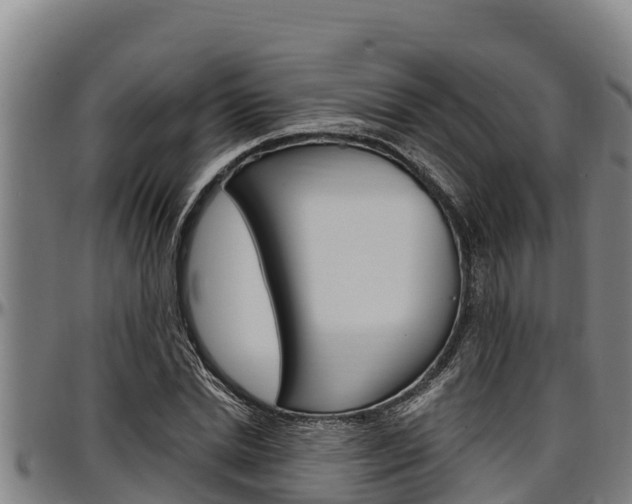 X0000097510830200802220903