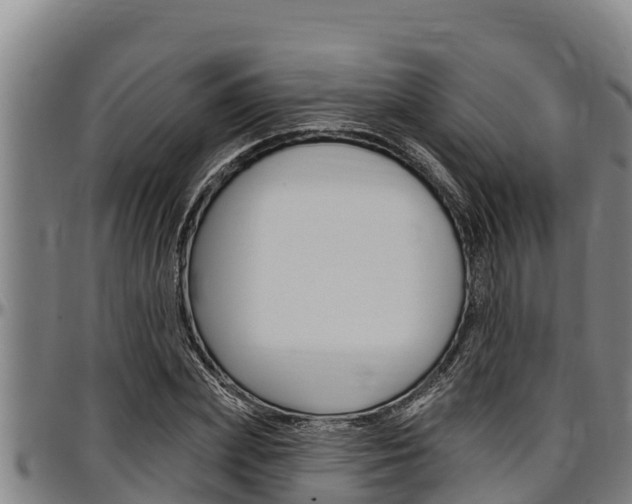 X0000097510831200802220903