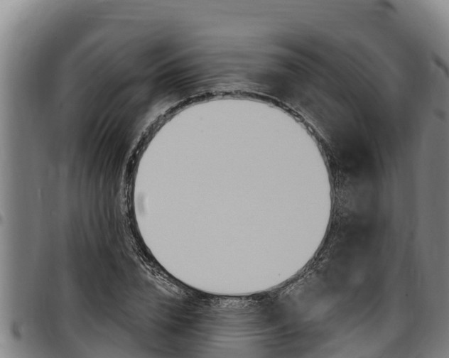 X0000097510832200802220903