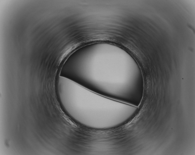 X0000097510834200802220903