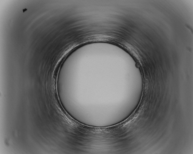 X0000097510835200802220903
