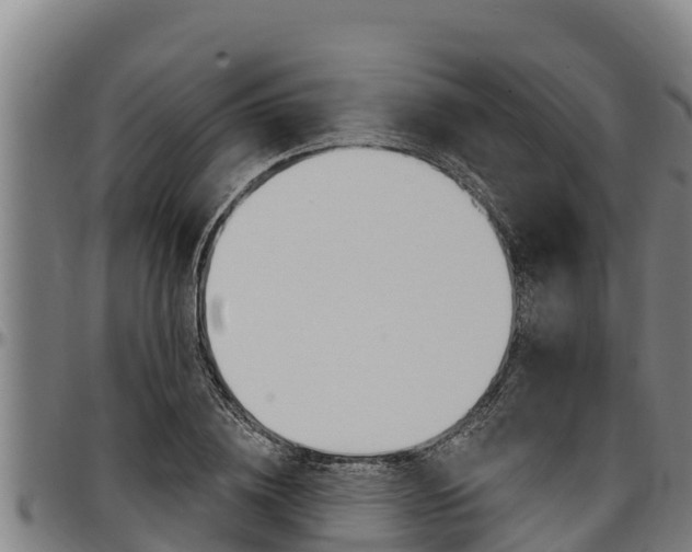 X0000097510836200802220903