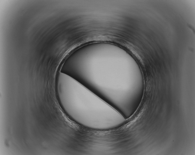 X0000097510837200802220903