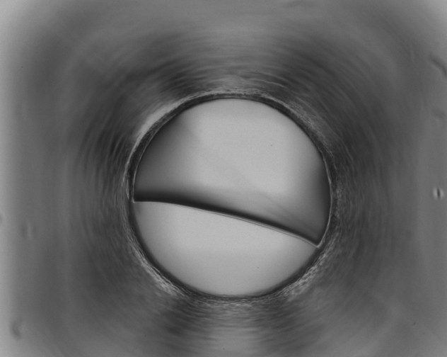 X0000097510838200802220903