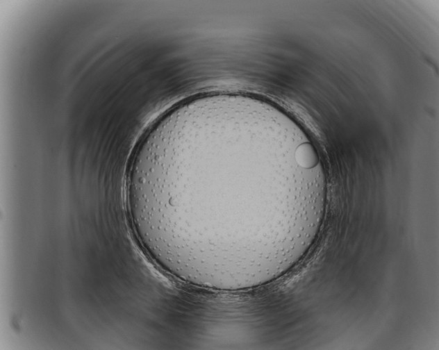 X0000097510839200802220903