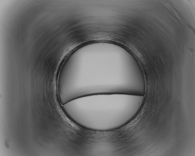 X0000097510840200802220903