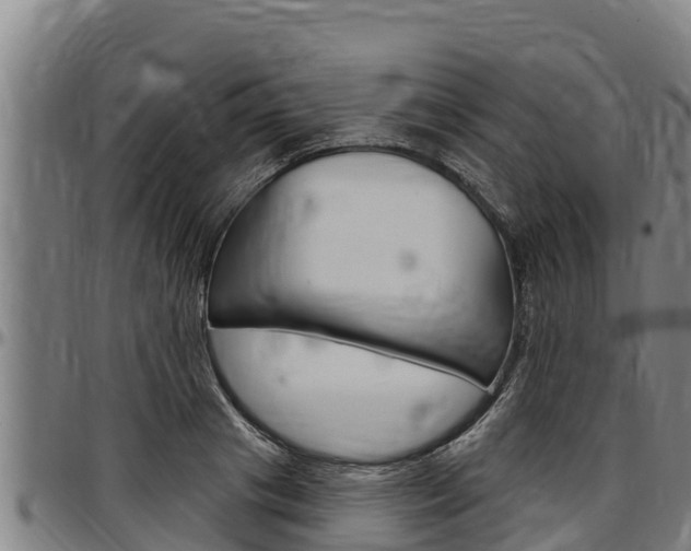 X0000097510841200802220903