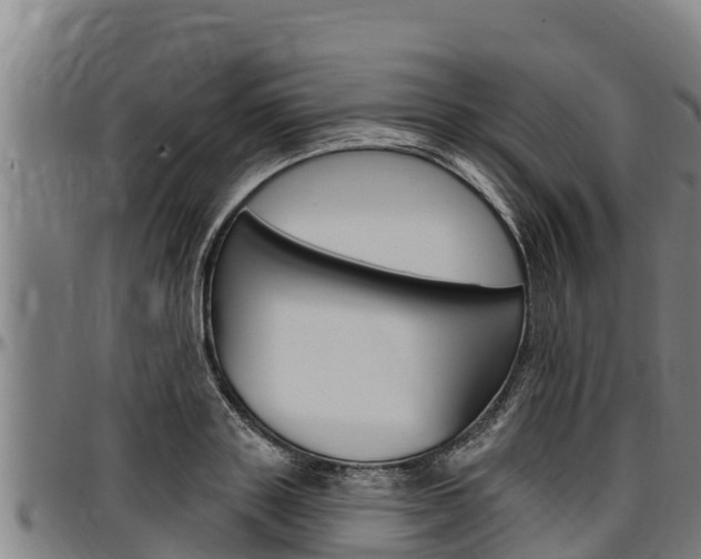 X0000097510843200802220903