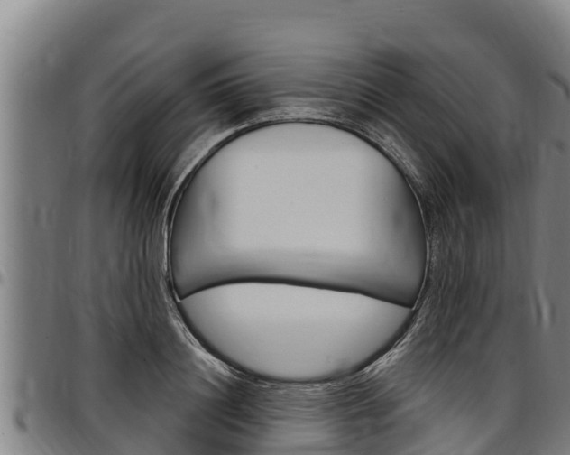 X0000097510844200802220903