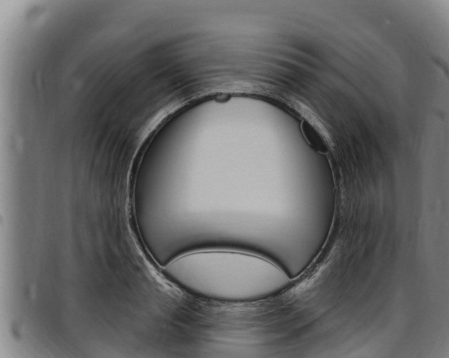 X0000097510845200802220903
