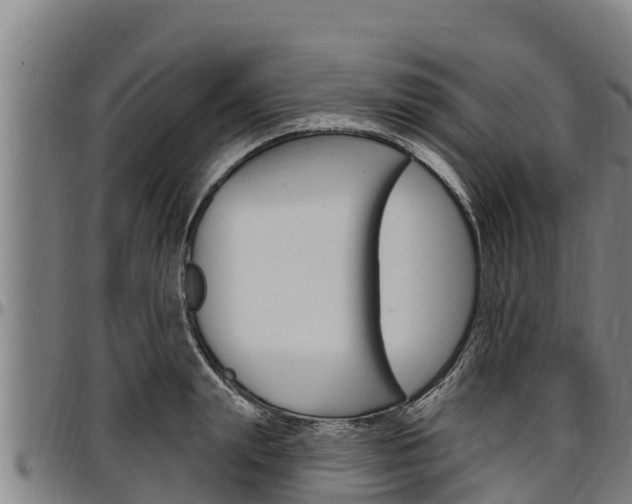 X0000097510847200802220903