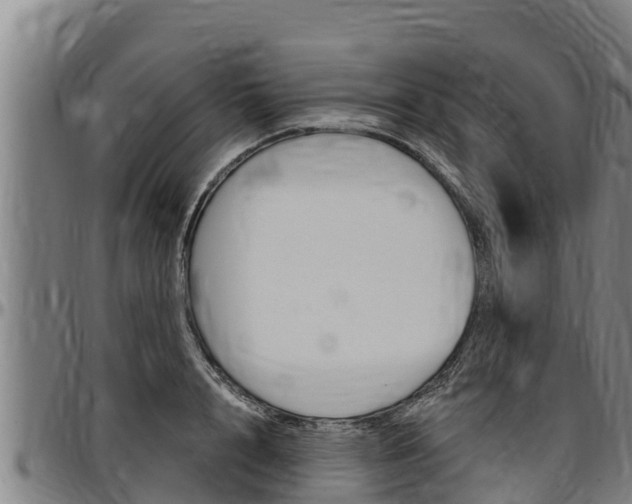 X0000097510848200802220903