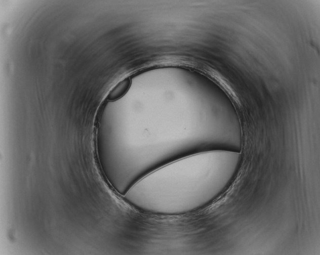X0000097510853200802220903