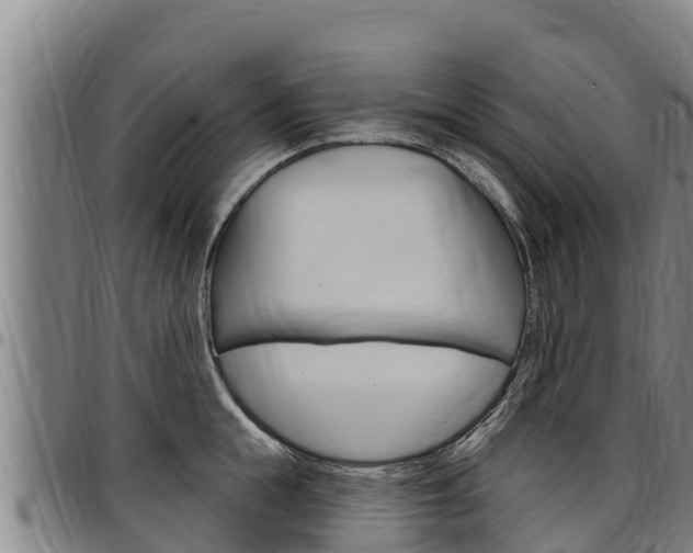 X0000097510855200802220903