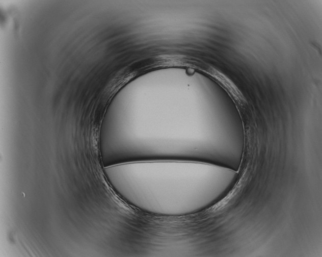 X0000097510857200802220903