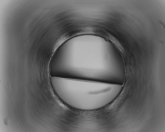 X0000097510858200802220903