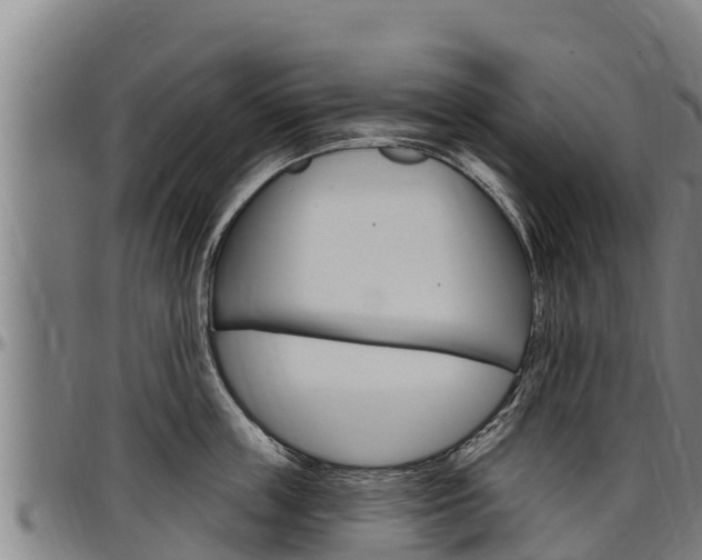 X0000097510859200802220903