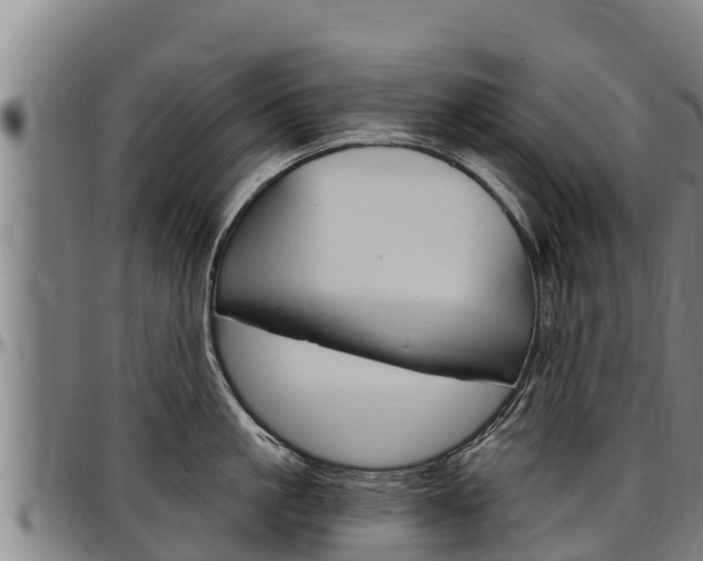 X0000097510861200802220903