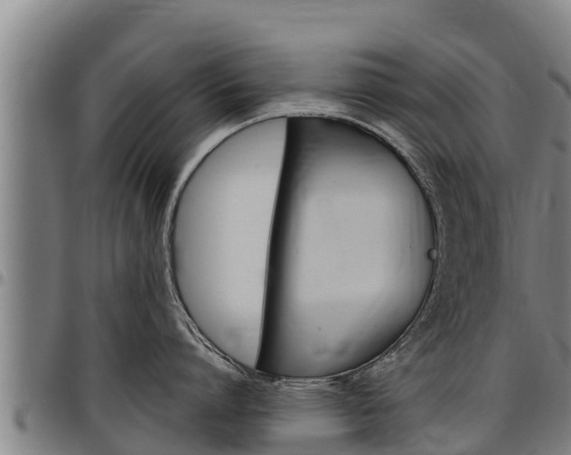 X0000097510864200802220903