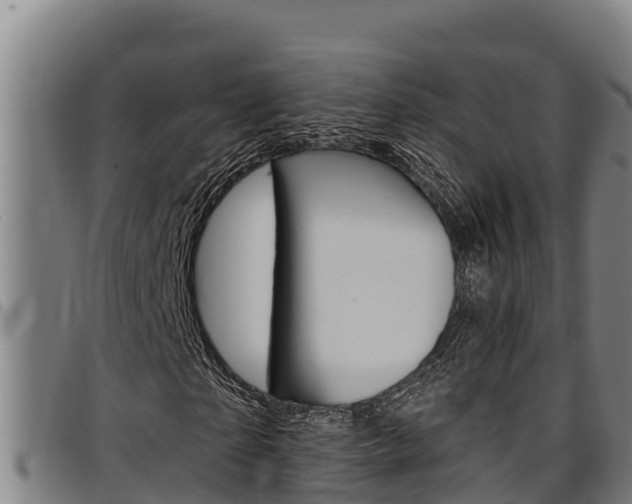 X0000097510865200802220902