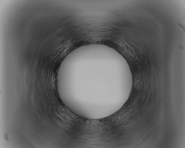 X0000097510866200802220902