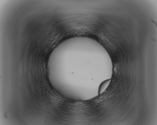 X0000097510867200802220902