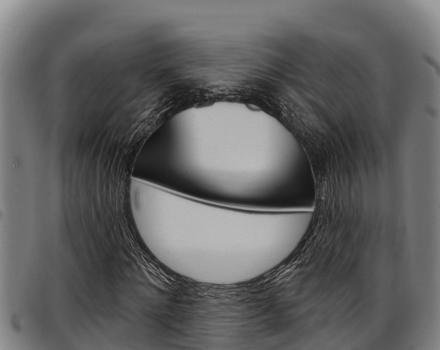 X0000097510868200802220902
