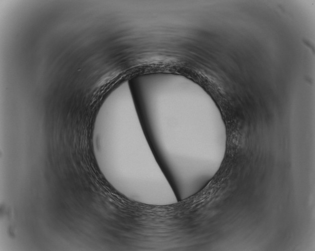 X0000097510869200802220902