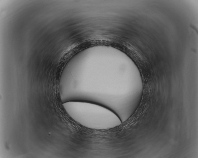 X0000097510870200802220902