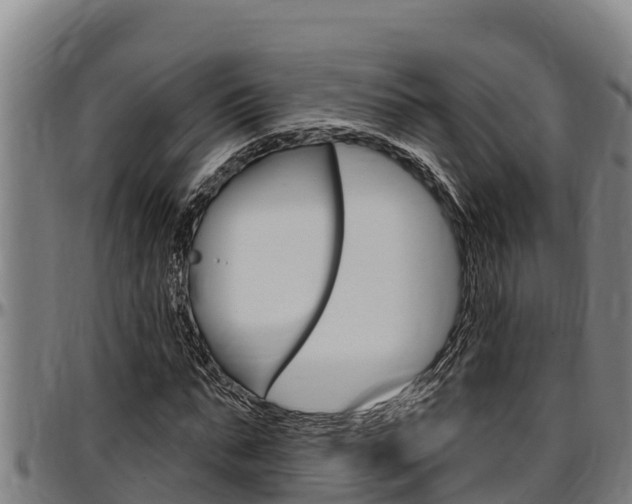 X0000097510871200802220902