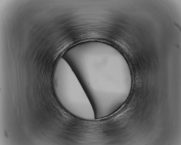 X0000097510873200802220902