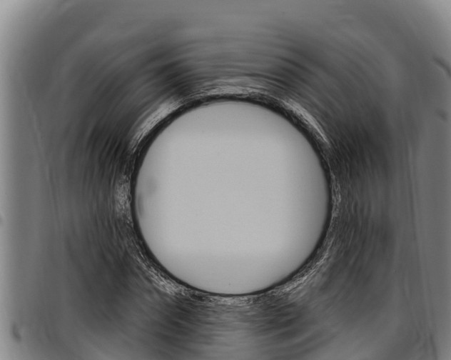 X0000097510874200802220902
