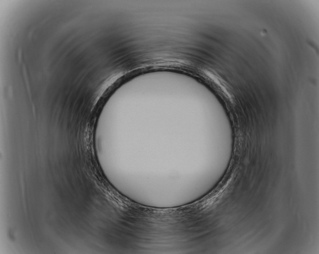 X0000097510875200802220902