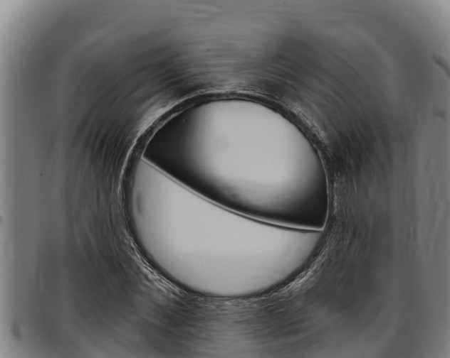 X0000097510876200802220902