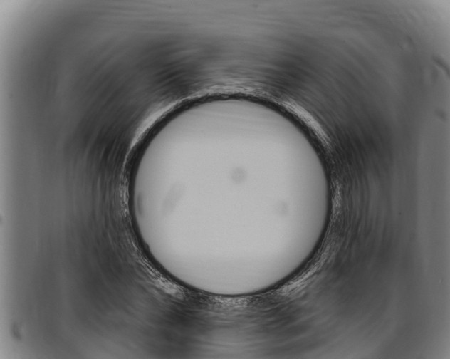 X0000097510878200802220902