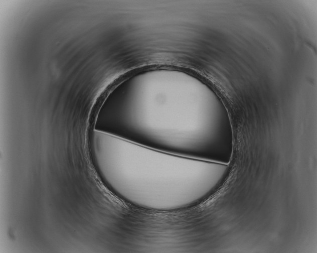 X0000097510880200802220902