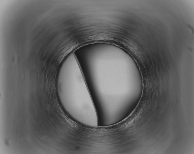 X0000097510881200802220902