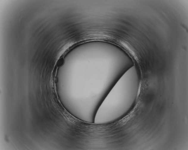 X0000097510883200802220902