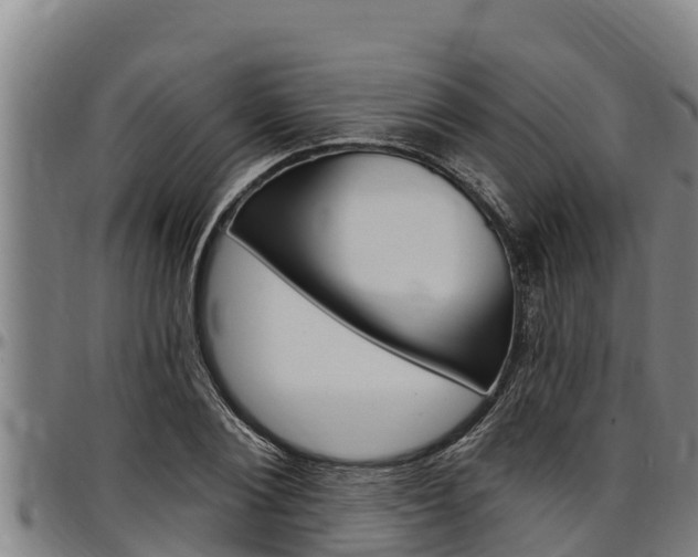 X0000097510884200802220902