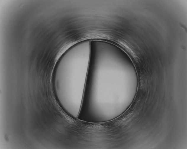 X0000097510885200802220902
