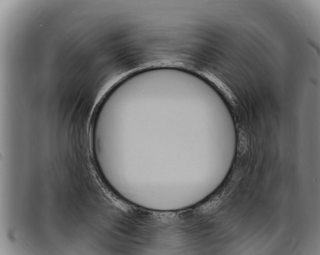 X0000097510886200802220902