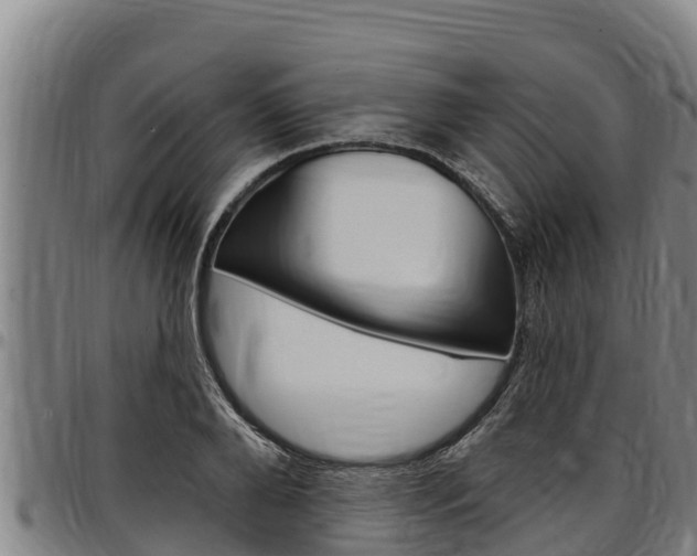 X0000097510888200802220902