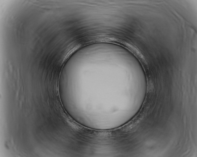 X0000097510889200802220902