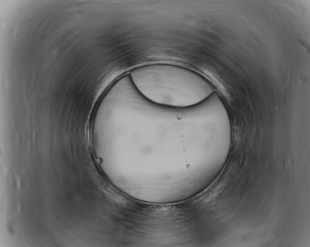 X0000097510891200802220902
