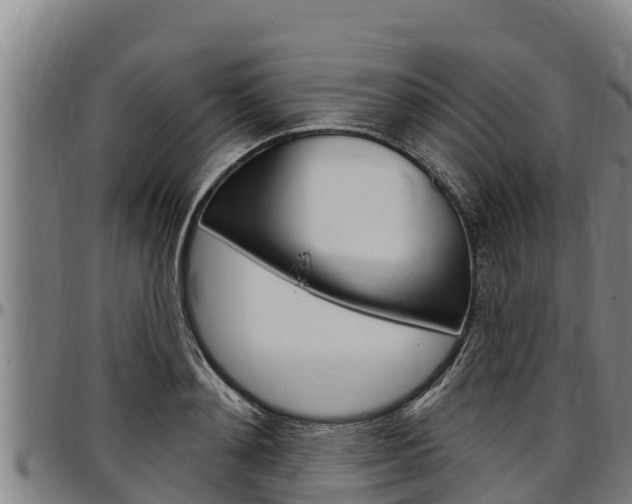 X0000097510892200802220902