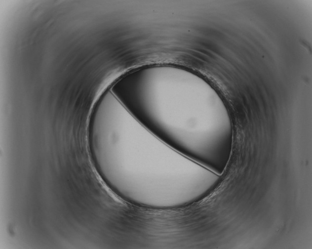 X0000097510894200802220902
