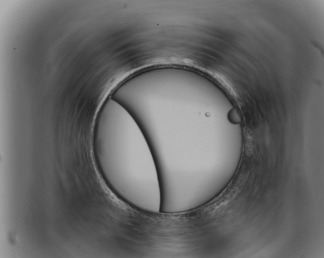 X0000097510895200802220902