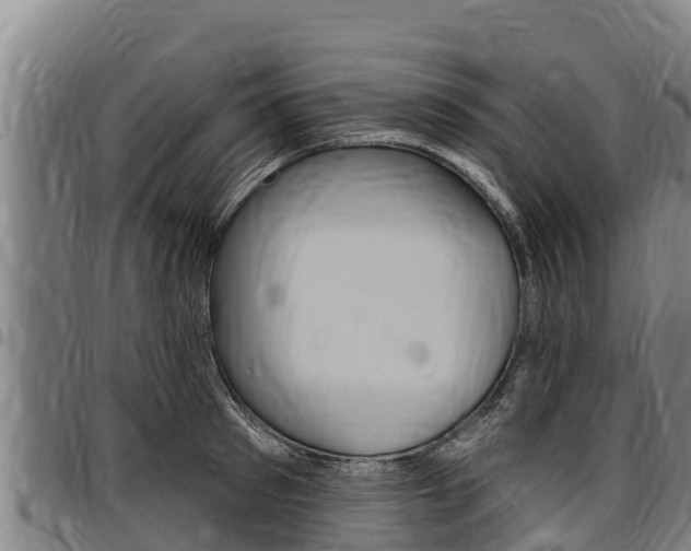 X0000097510897200802220902