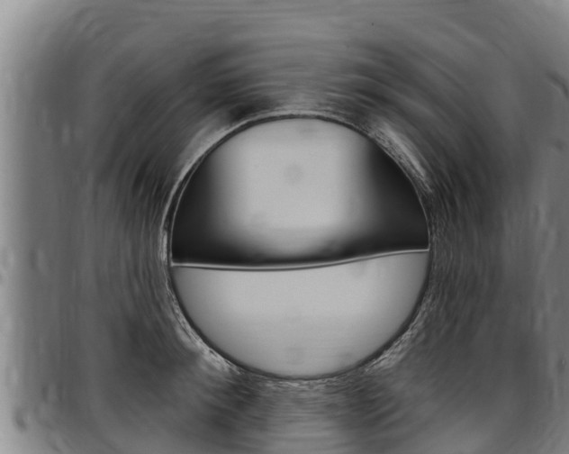 X0000097510900200802220902